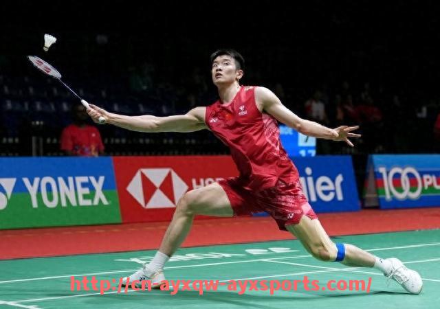 爱游戏体育-法甲球队观众数据统计及球迷群体画像解析