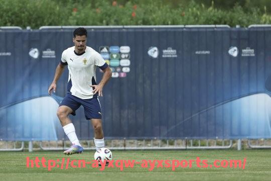 爱游戏体育-英超球队用车品牌统计与球员私人座驾趣谈